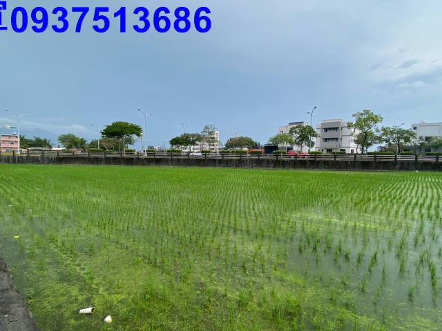 宜蘭市農地-0