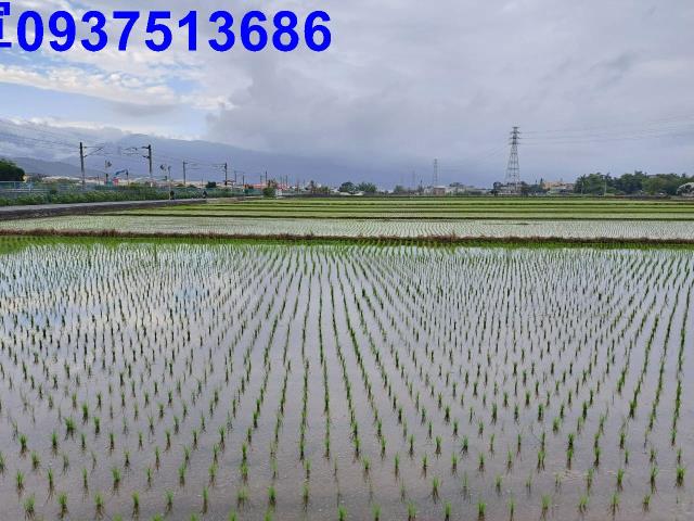 宜蘭農地-8