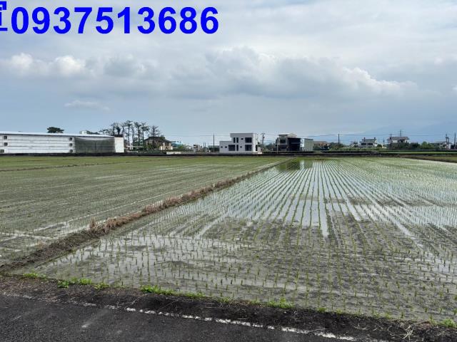 宜蘭農地-7