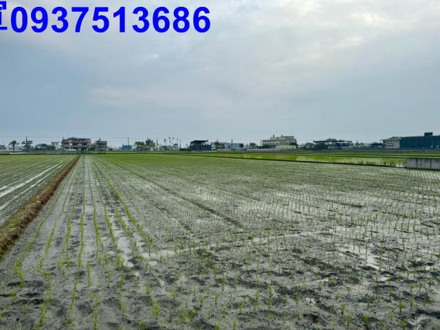 宜蘭農地-5