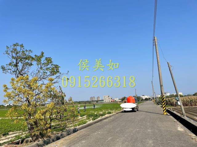 嘉義農地-4
