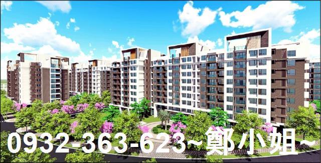 桃園大園建地-2