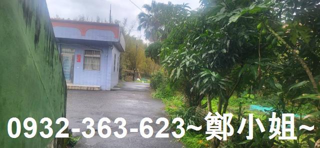 新北金山農地-9