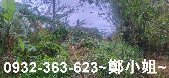 新北金山農地-2