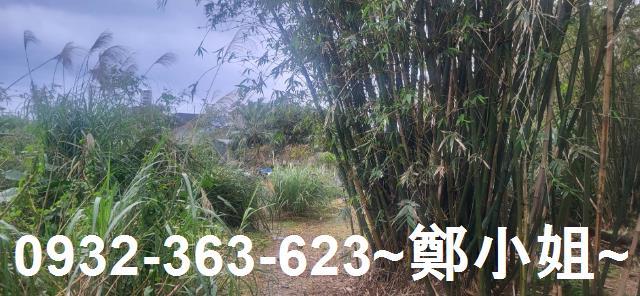 新北金山農地-6