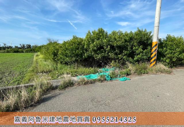 雲林四湖農地-2