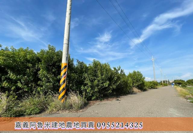 雲林四湖農地-3