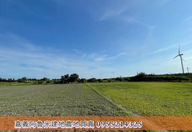 雲林四湖農地-4