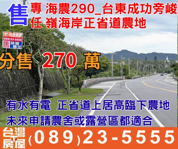 台東成功農地-0