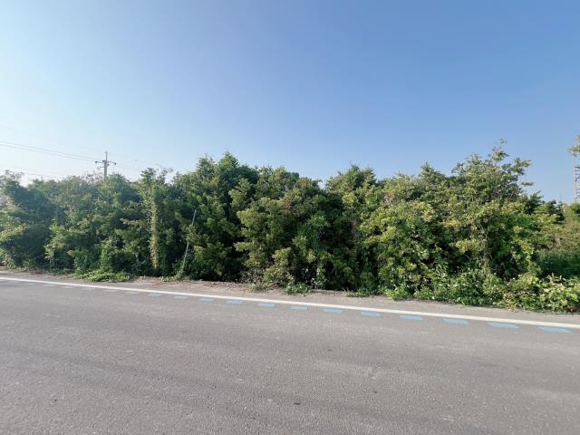 彰化永靖農地-10