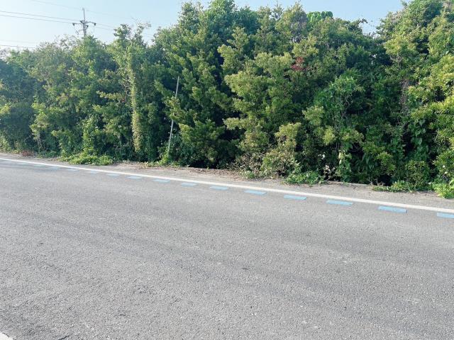 彰化永靖農地-0