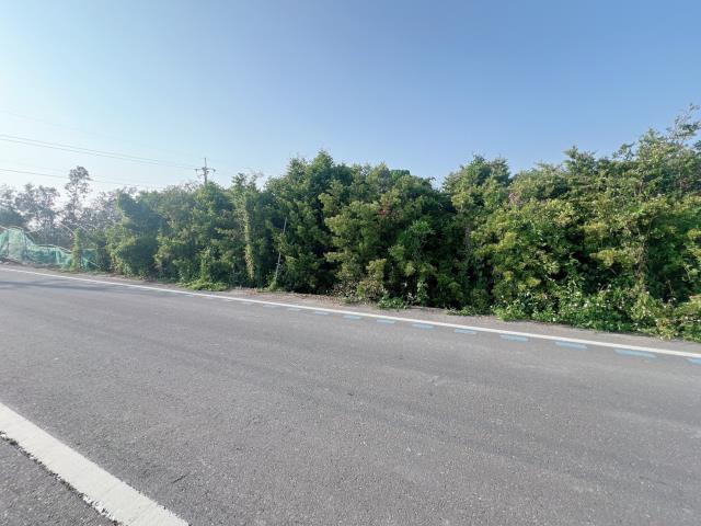 彰化永靖農地-1
