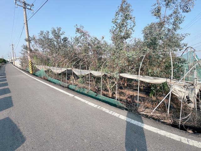 彰化永靖農地-7