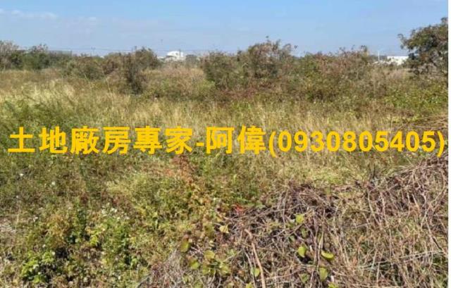 台南麻豆工業地-1