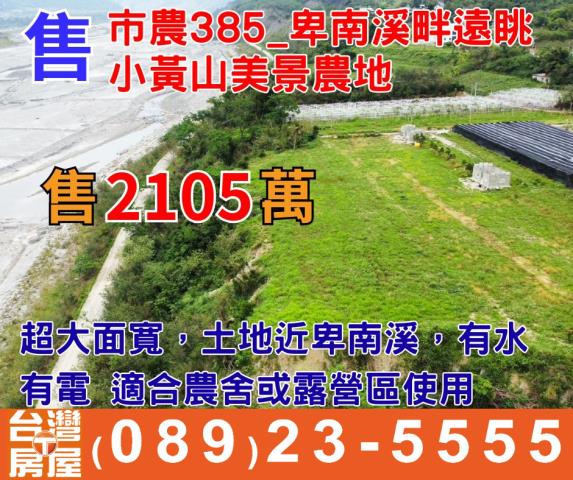 台東卑南農地-0