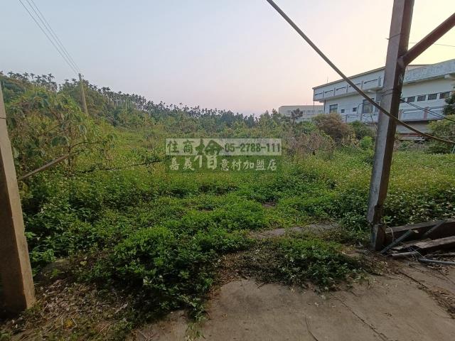 中埔農地-6