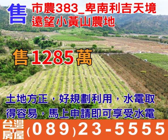 卑南農地-0