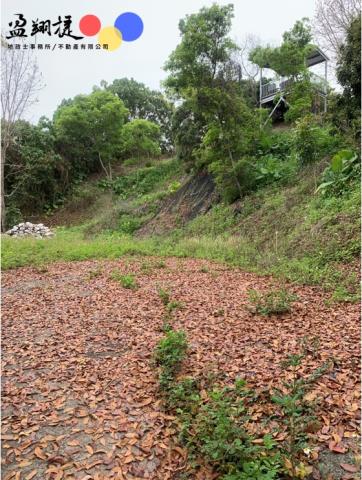 中寮農地-1