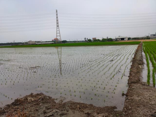 二林農地-2