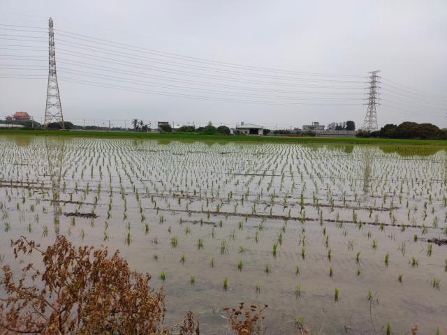 二林農地-5