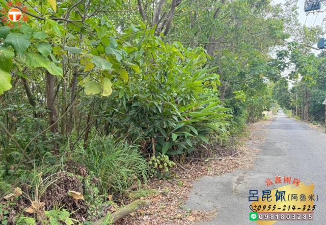 大林農地-1
