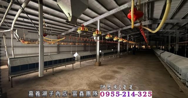 四湖農地-4