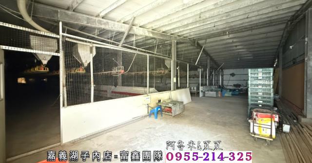 四湖農地-5