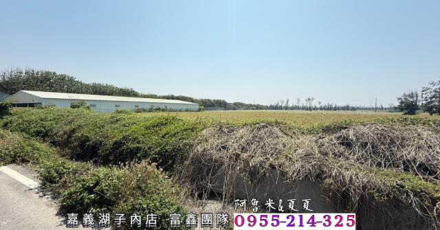 四湖農地-7