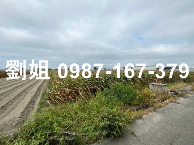 台南安定農地-1