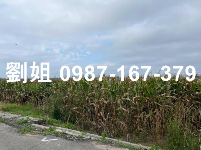 台南安定農地-2