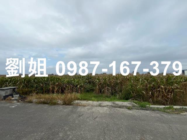 台南安定農地-3