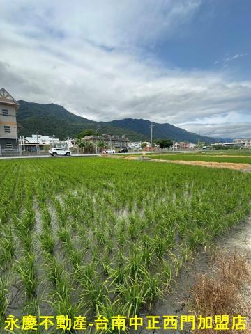 台東關山農地-11