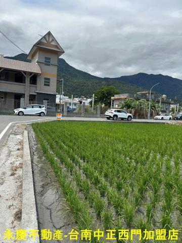 台東關山農地-13