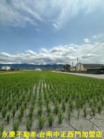 台東關山農地-0