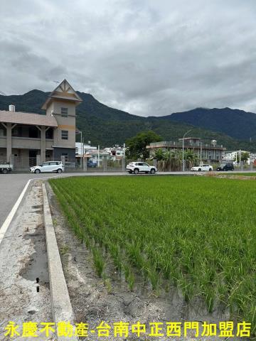 台東關山農地-2
