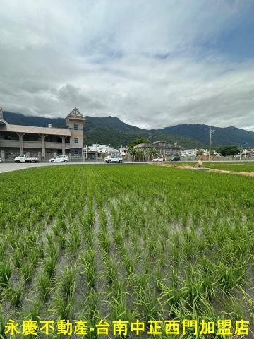 台東關山農地-5