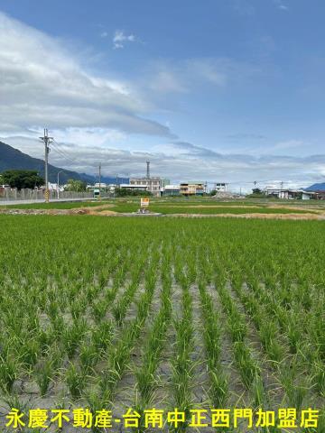 台東關山農地-6