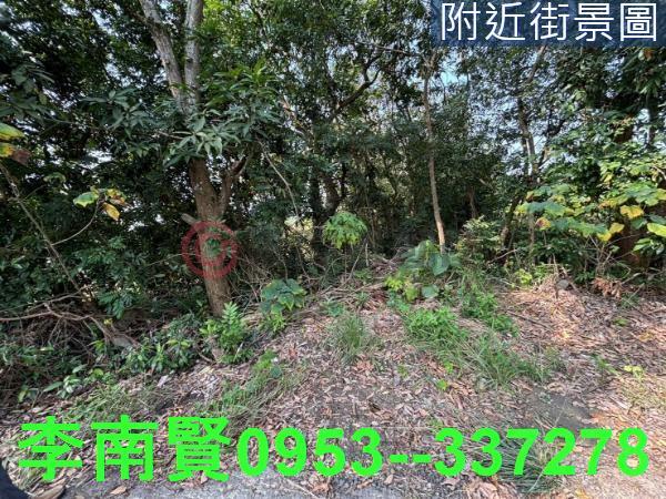 台南大內農地-4