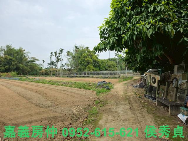 嘉義東區建地-3