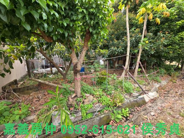 嘉義東區建地-4
