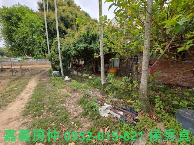 嘉義東區建地-5