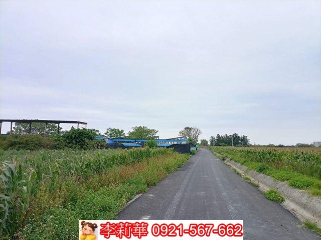 台南七股農地-3