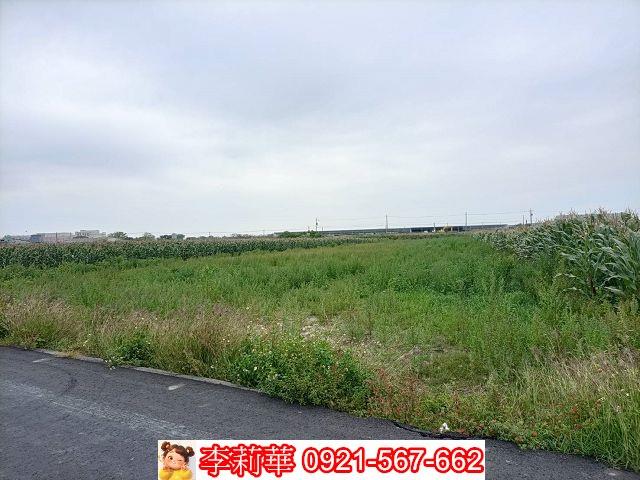 台南七股農地-4