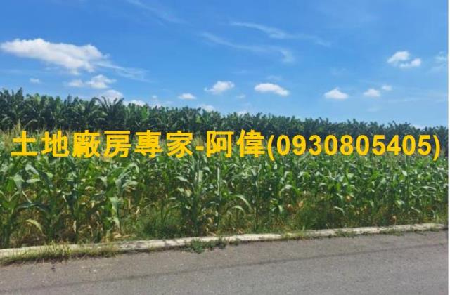 高雄大寮農地-0