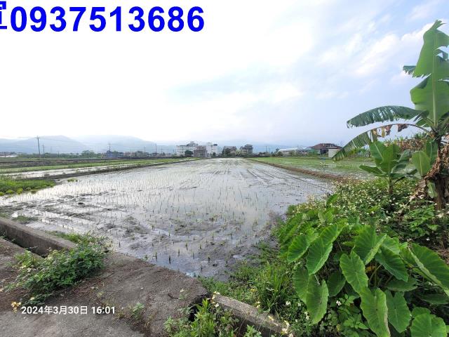 員山農地-3