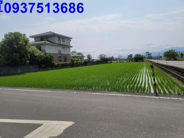 員山農地-5