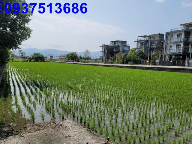 員山農地-7
