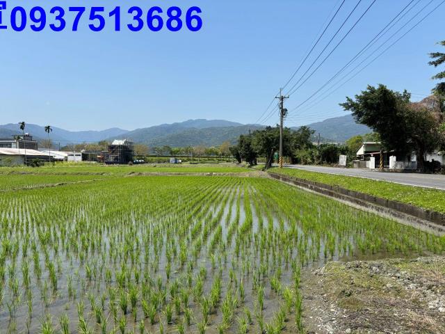 宜蘭市農地-3