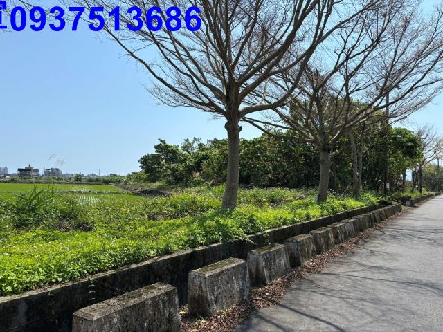宜蘭市農地-5