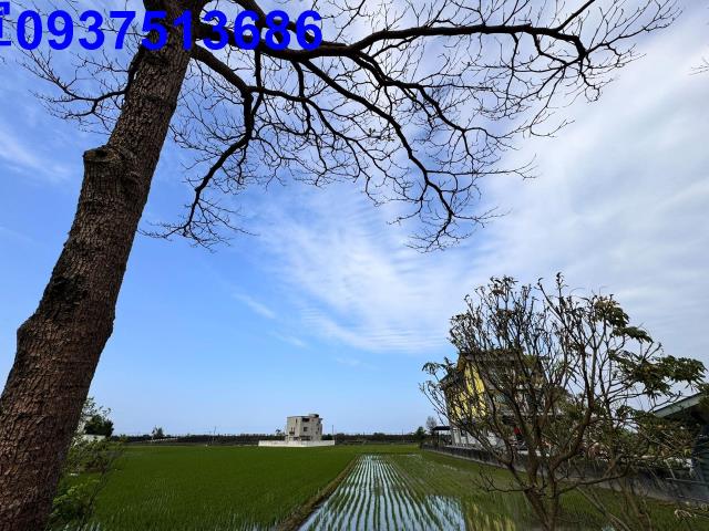 壯圍農地-5